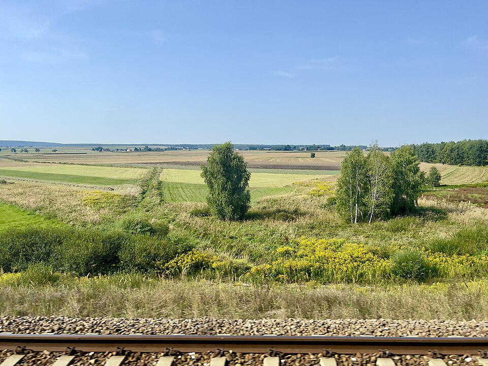 Poland — local market for subscription and membership platforms