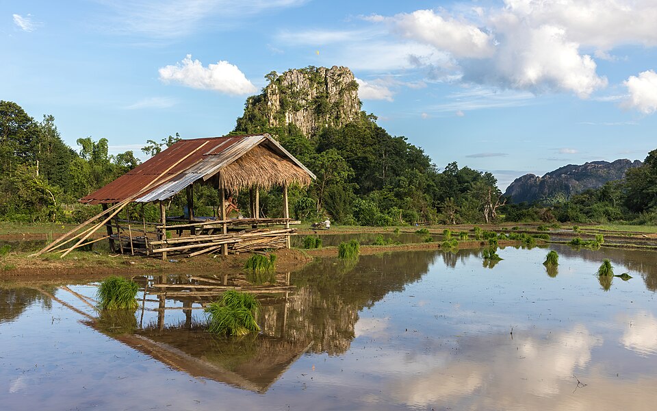 Vang Vieng — international and multi-region stores for local businesses