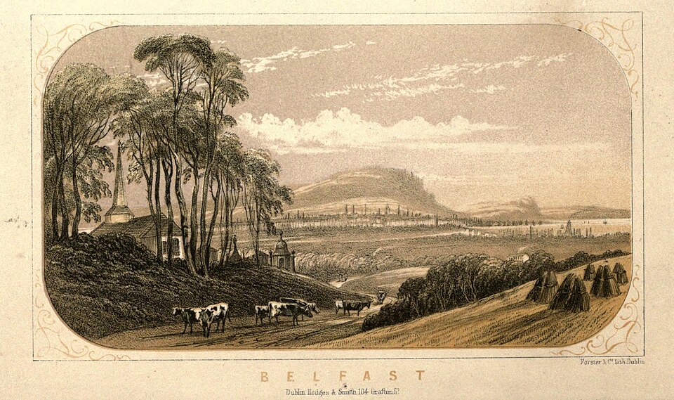 Belfast — local market for subscription and membership platforms