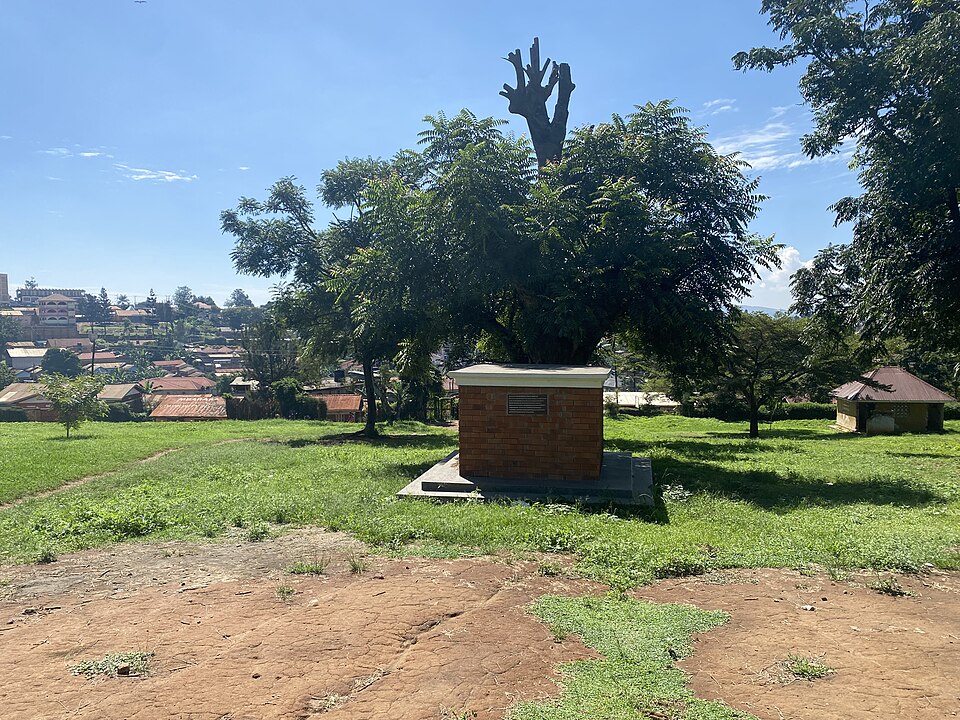 Mbarara — custom e-commerce platforms for local businesses