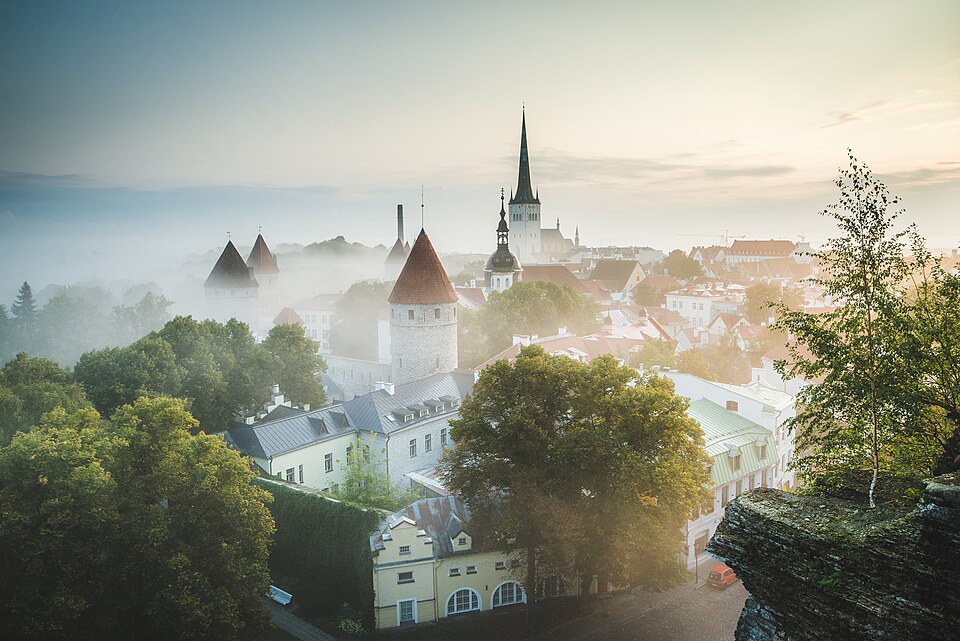 Tallinn — local market for B2B and wholesale portals
