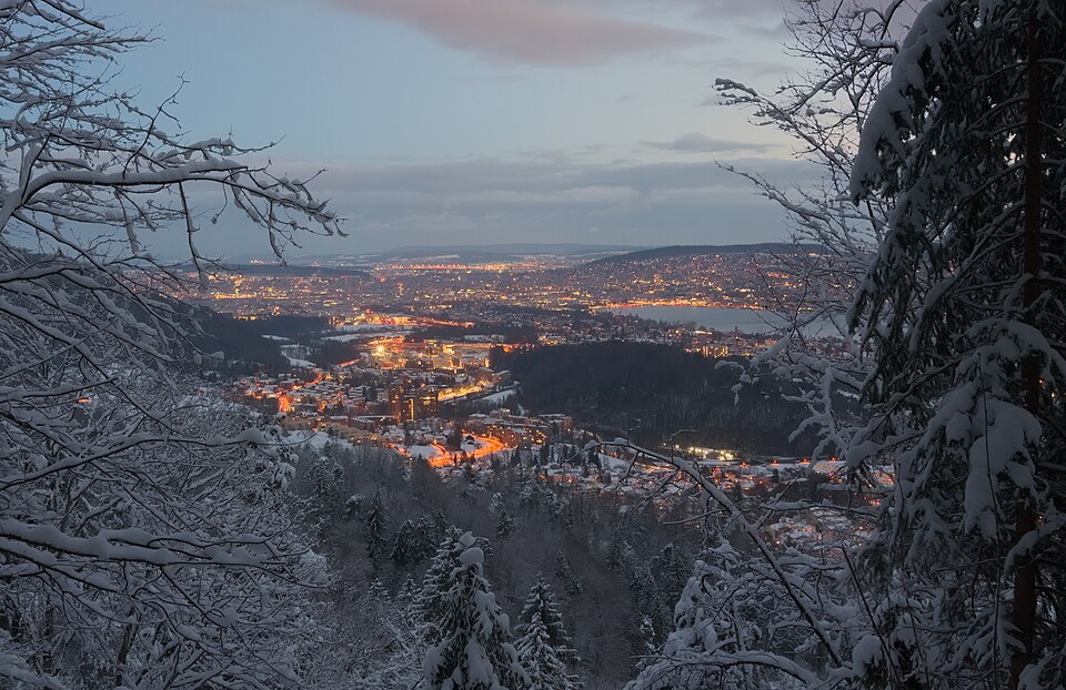 Zurich — local market for service booking platforms