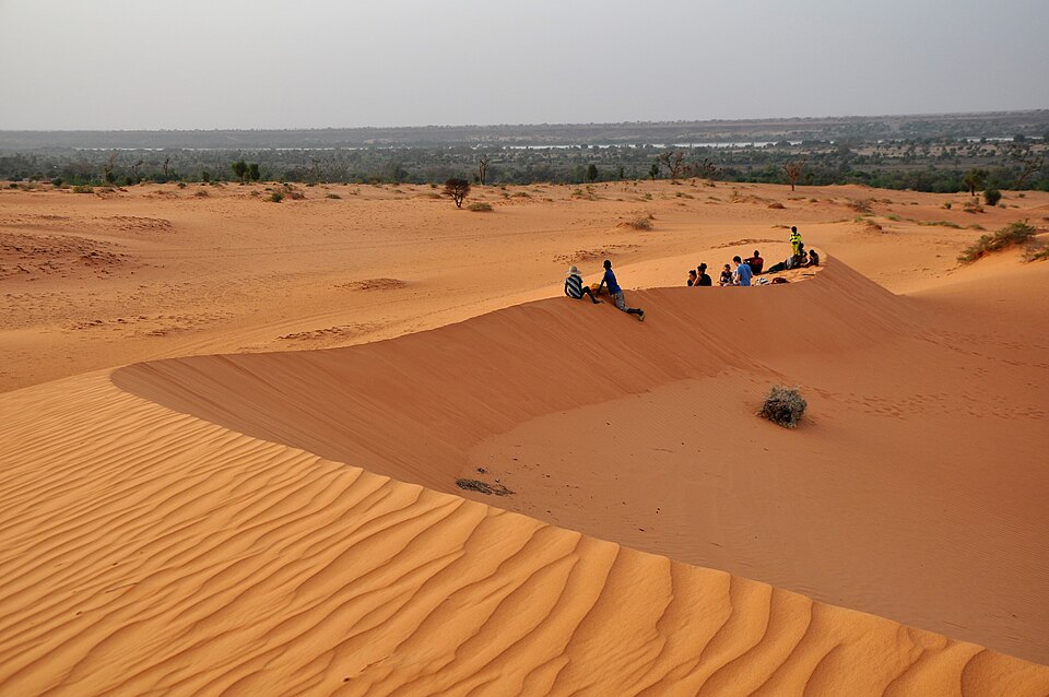 Niger — multi-vendor marketplaces for local businesses