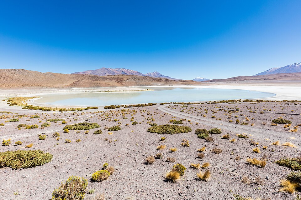 Bolivia — local market for online stores