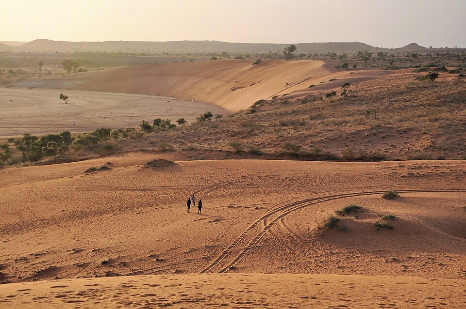 Niger — local market for international and multi-region stores
