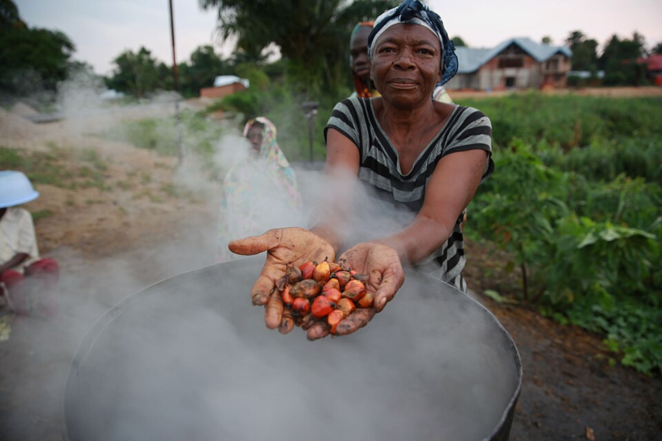 Kisangani — local market for mobile commerce apps