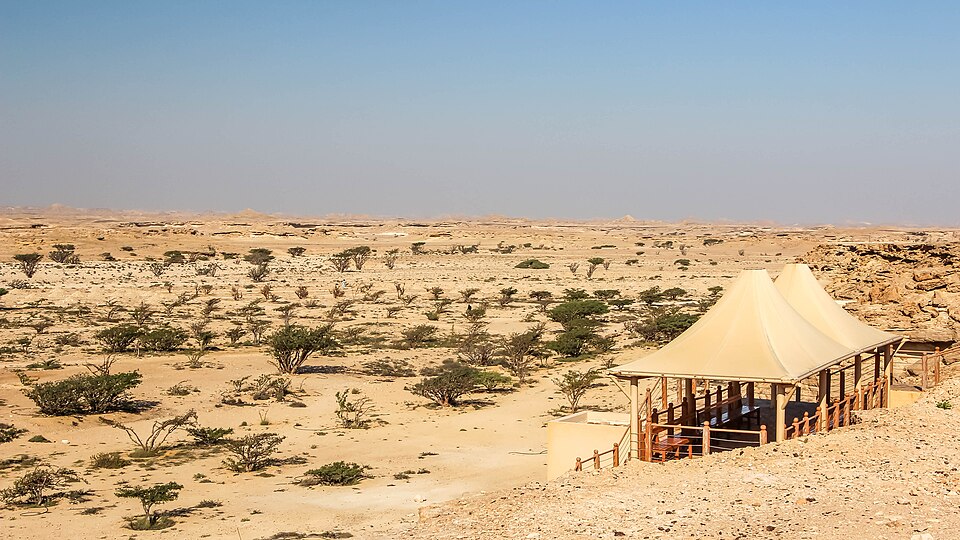 Oman — local market for online stores