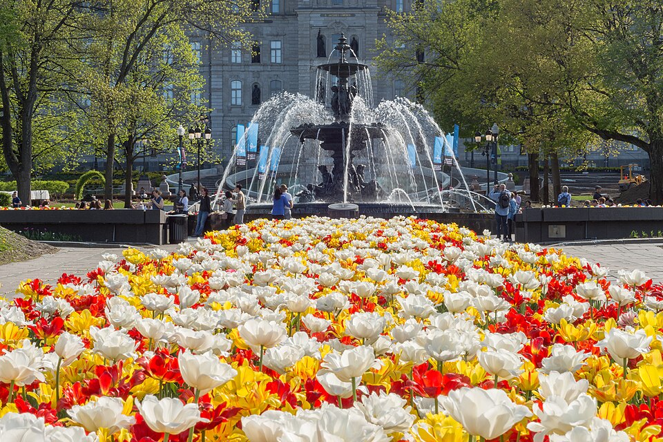 Québec City — online stores for local businesses