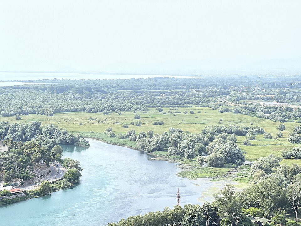 Shkodër — local market for international and multi-region stores