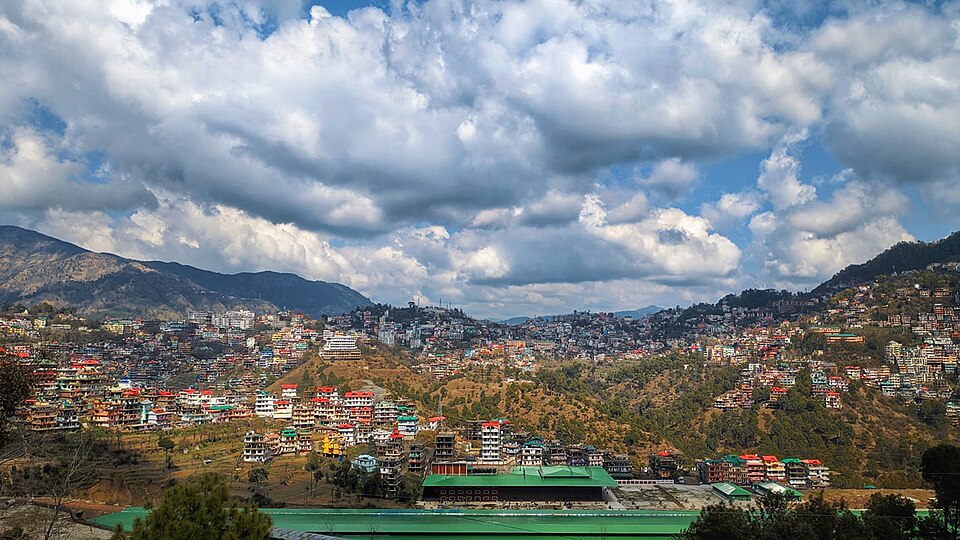 Solan — local market for online stores
