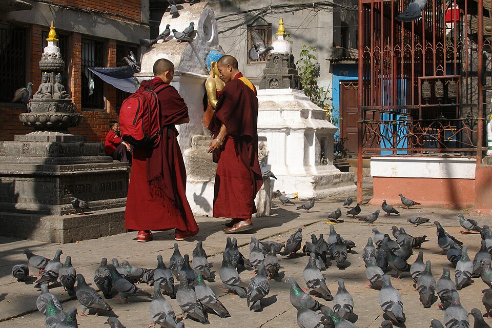 Lalitpur — service booking platforms for local businesses