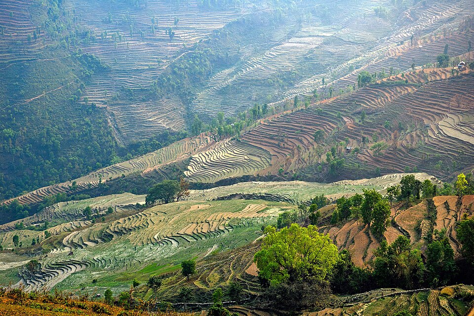 Nepal — mobile commerce apps for local businesses