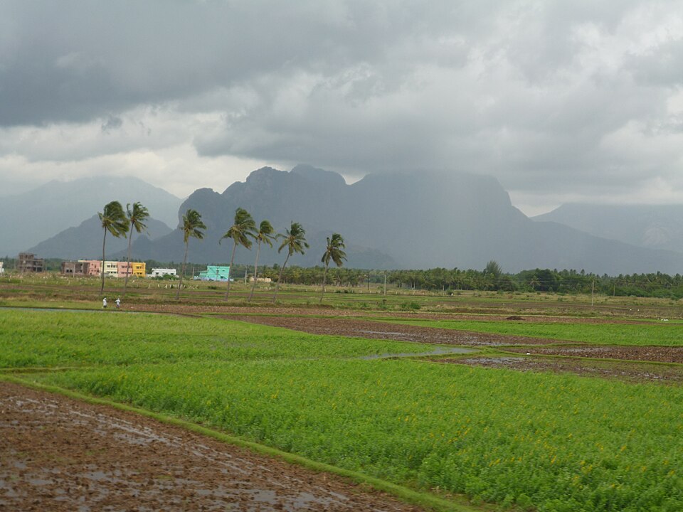 Nagercoil — local market for subscription and membership platforms