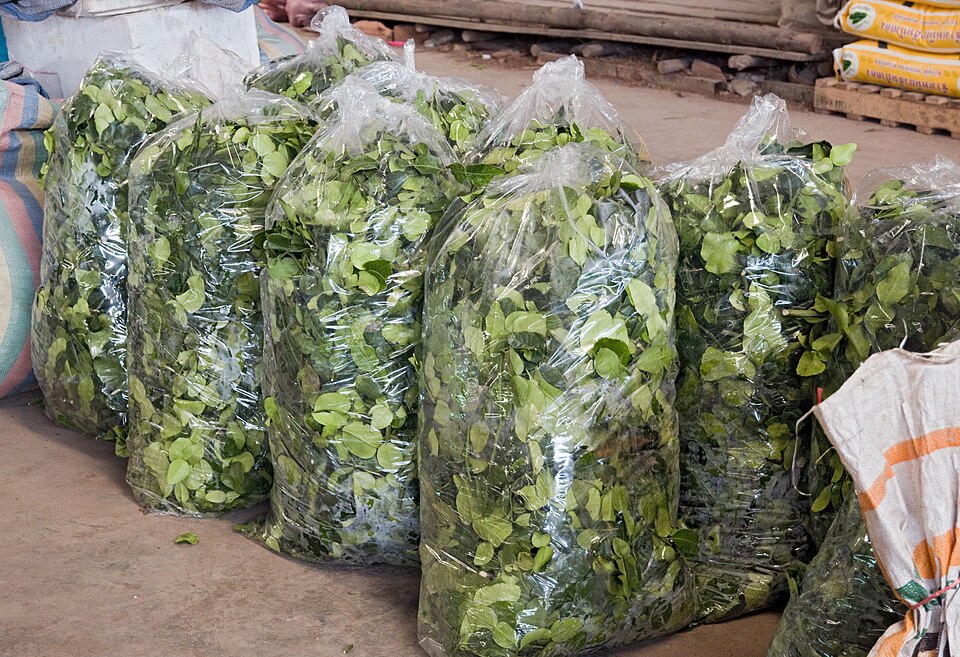 Battambang — local market for international and multi-region stores
