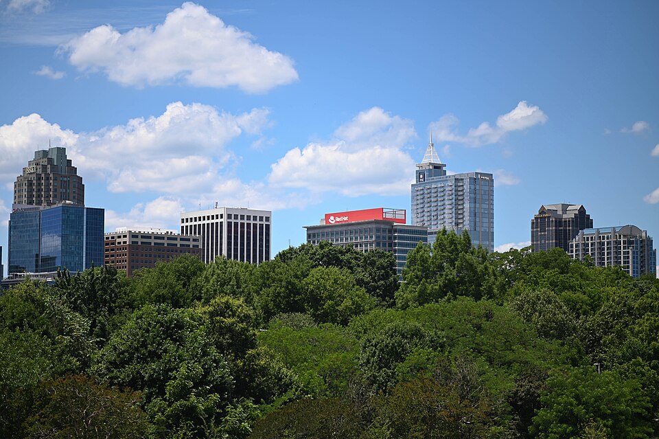 Raleigh — multi-vendor marketplaces for local businesses