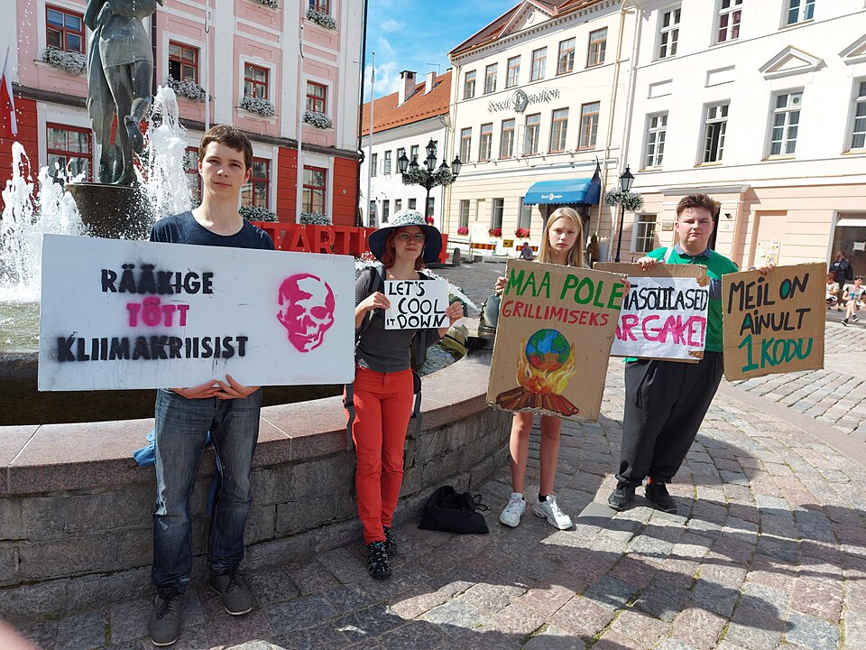 Estonia — manufacturer and distributor portals for local businesses