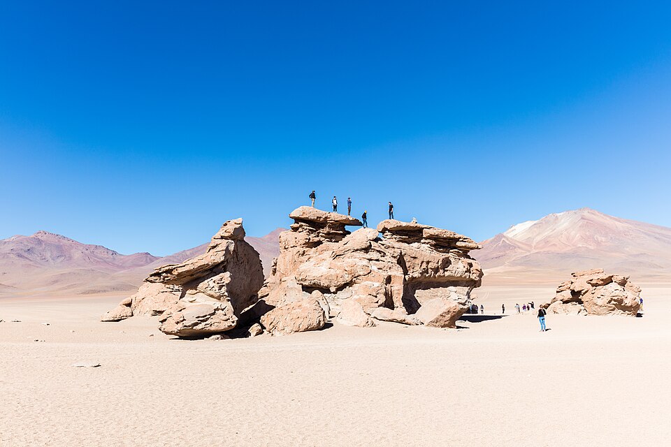 Bolivia — multi-vendor marketplaces for local businesses