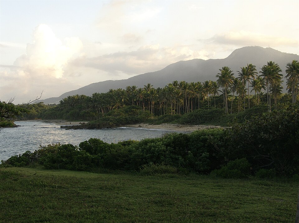 Dominican Republic — local market for manufacturer and distributor portals