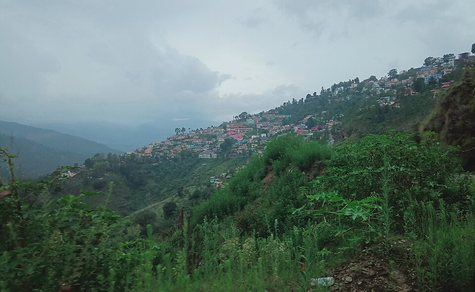 Almora — multi-vendor marketplaces for local businesses