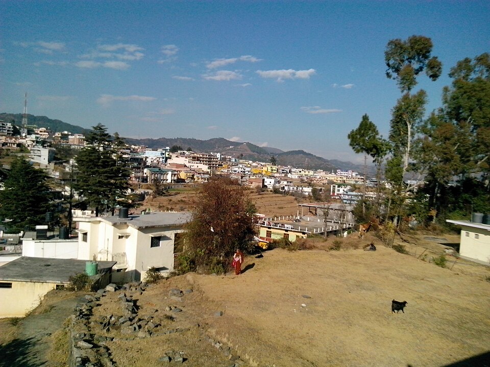 Champawat — service booking platforms for local businesses