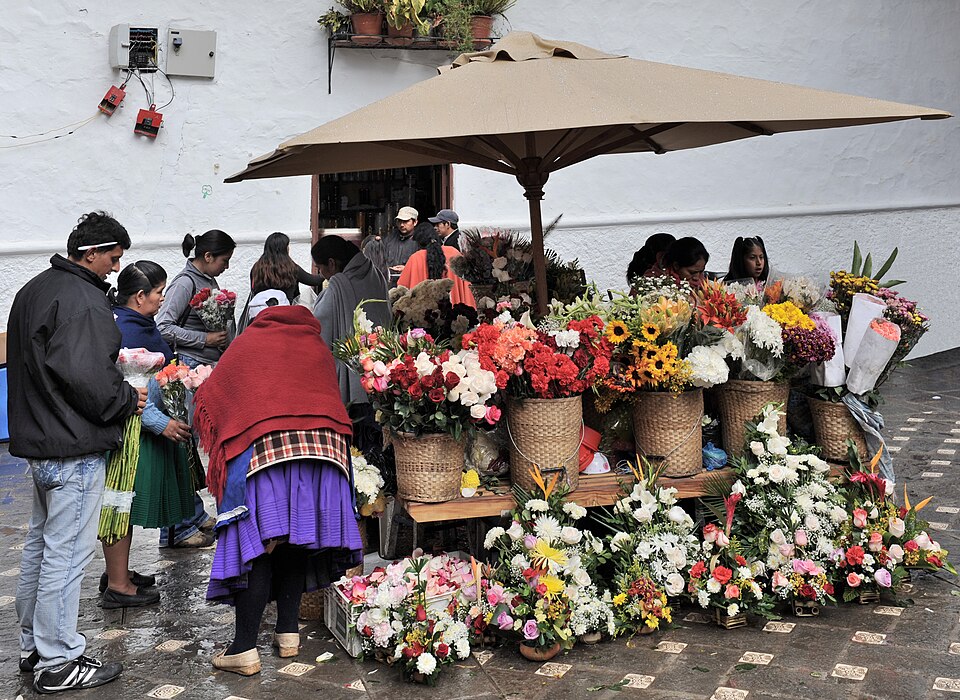 Cuenca — local market for manufacturer and distributor portals