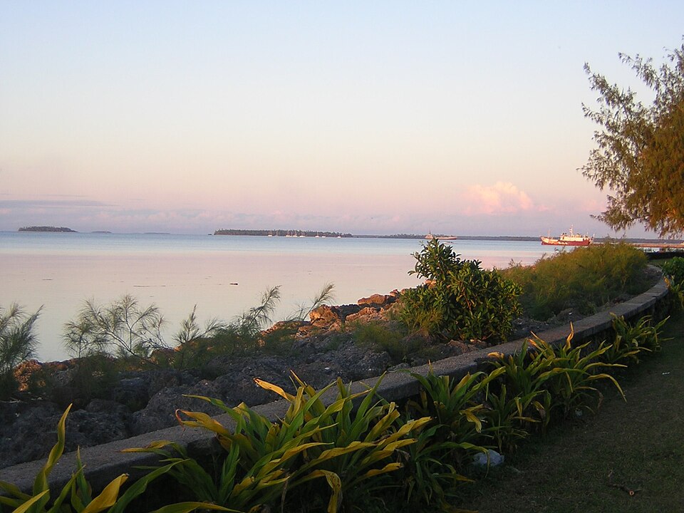 Tonga — local market for B2B and wholesale portals