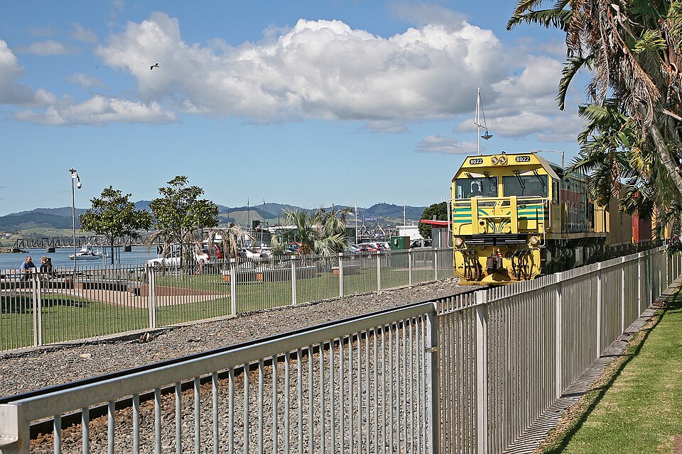 Tauranga — local market for multi-vendor marketplaces