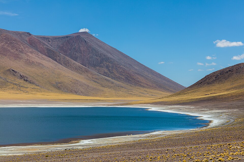 Chile — multi-vendor marketplaces for local businesses
