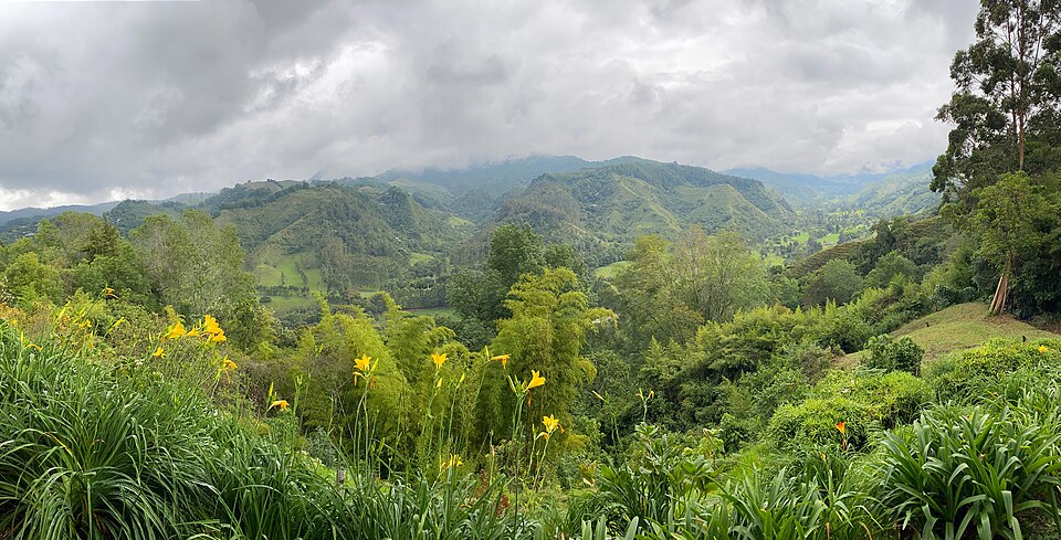 Colombia — local market for custom e-commerce platforms