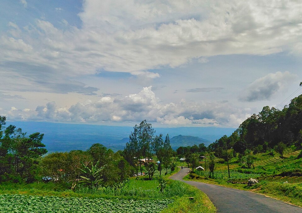 Indonesia — local market for B2B and wholesale portals