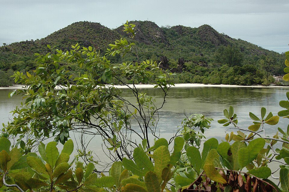 Seychelles — B2B and wholesale portals for local businesses