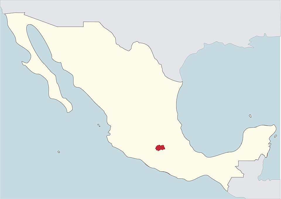 Toluca — mobile commerce apps for local businesses