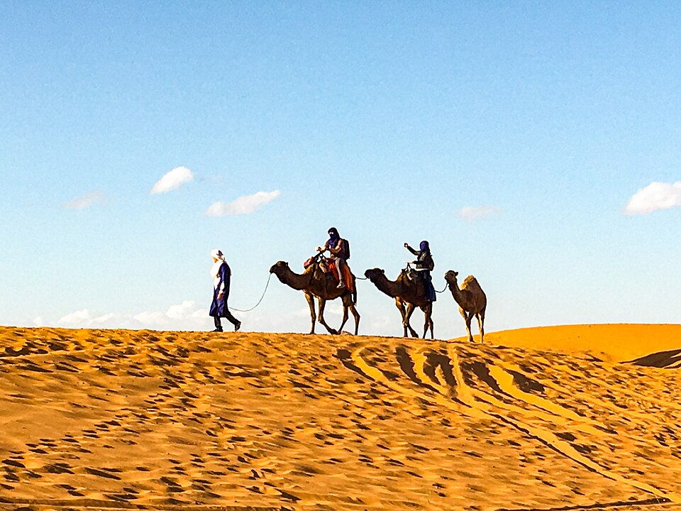 Morocco — B2B and wholesale portals for local businesses