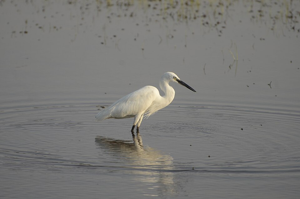 Karur — B2B and wholesale portals for local businesses