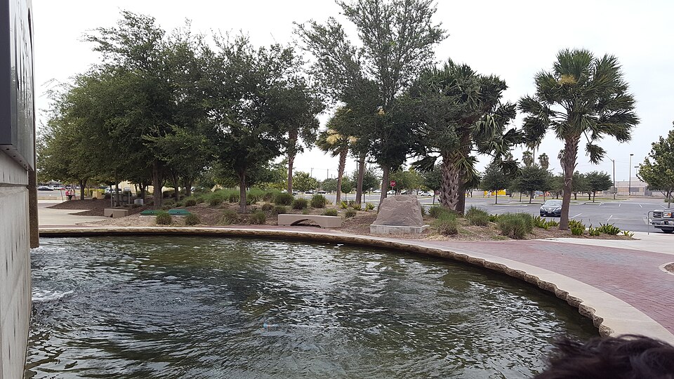 McAllen — local market for custom e-commerce platforms