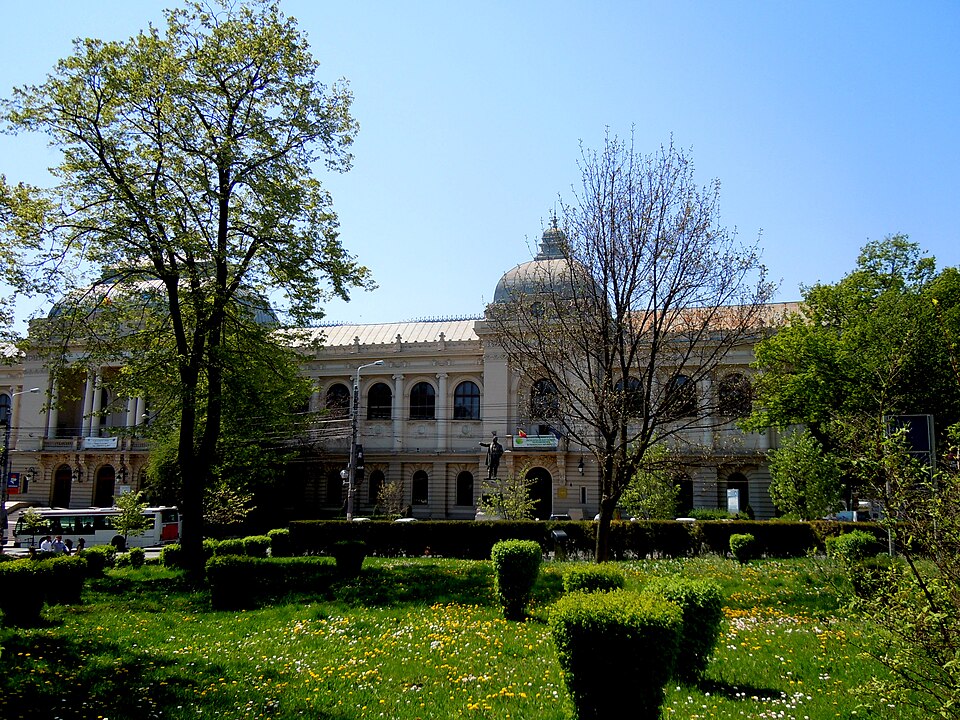 Iași — local market for custom e-commerce platforms