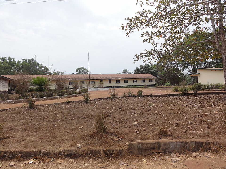 Sierra Leone — online stores for local businesses