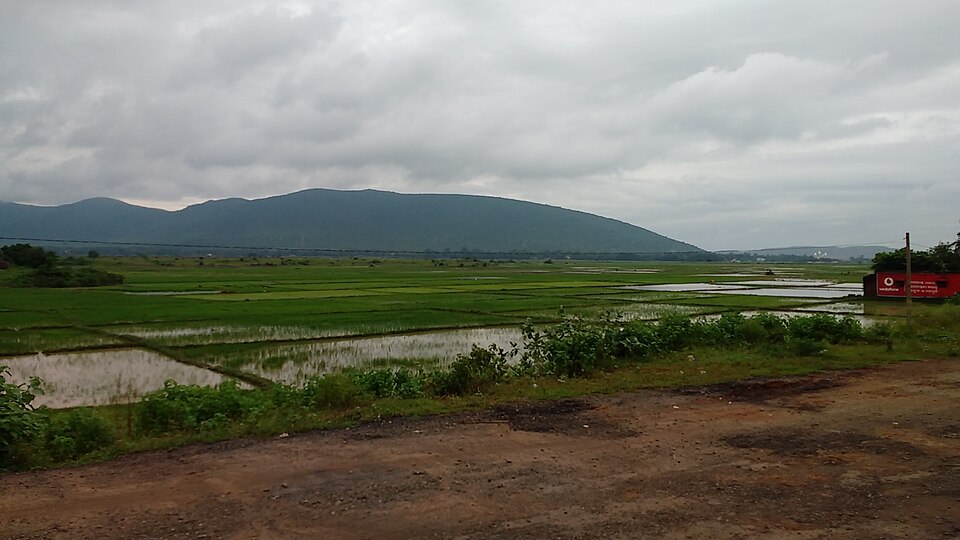 Jajpur — local market for service booking platforms