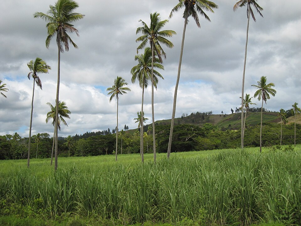 Labasa — B2B and wholesale portals for local businesses