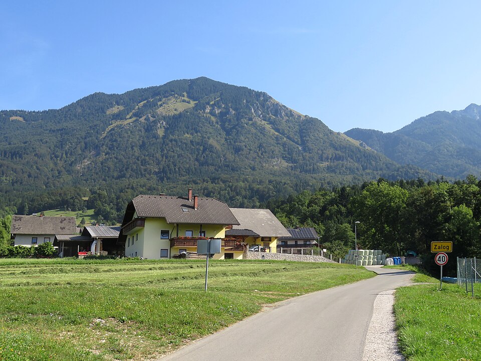Kranj — online stores for local businesses