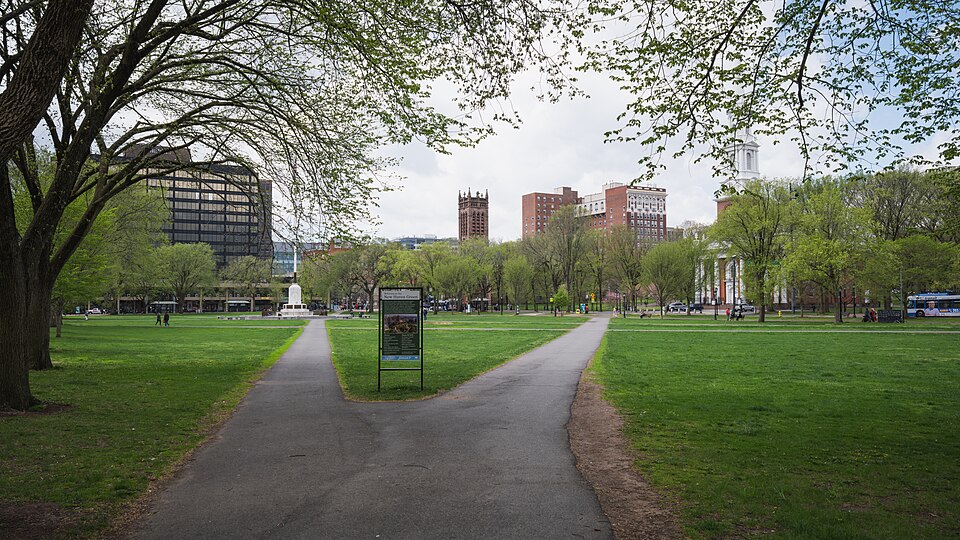 New Haven — local market for multi-vendor marketplaces