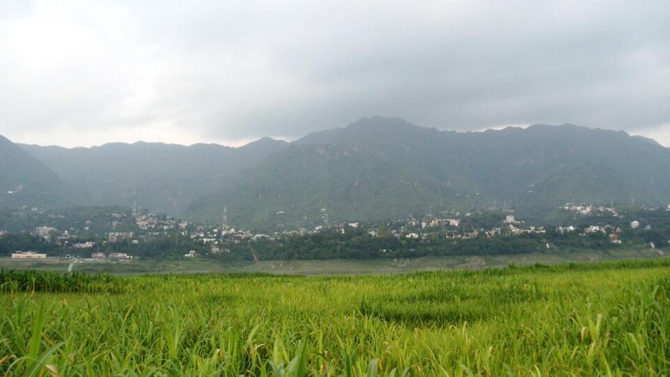 Bilaspur (HP) — local market for online stores