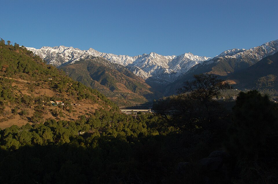 Palampur — local market for online stores