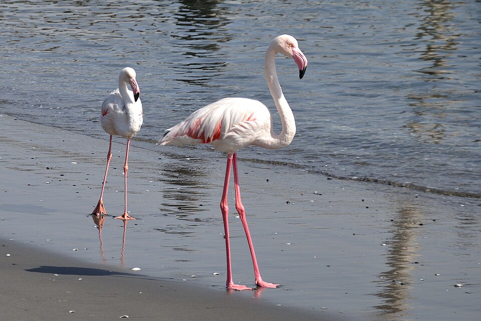Walvis Bay — online stores for local businesses