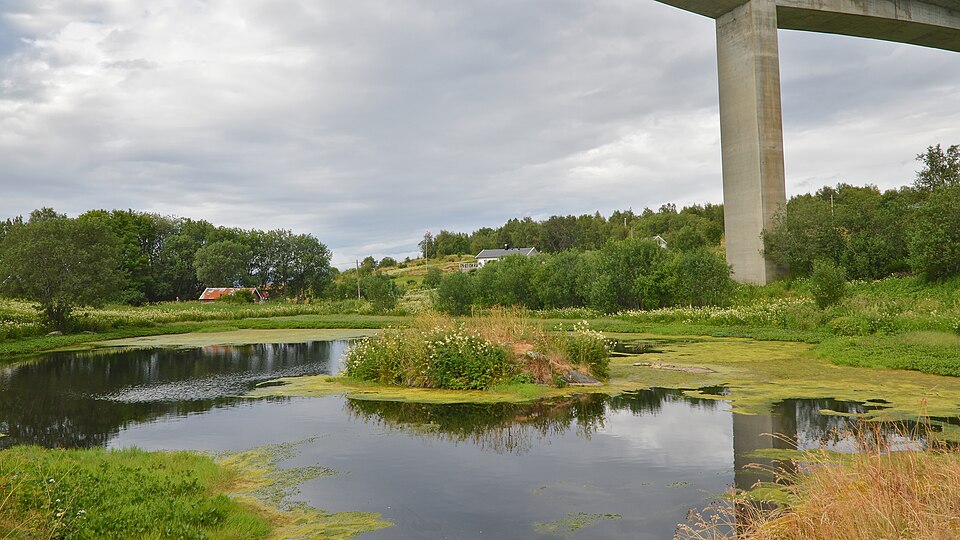 Bodø — international and multi-region stores for local businesses
