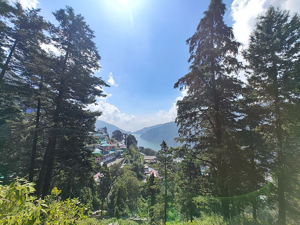 Nainital — international and multi-region stores for local businesses