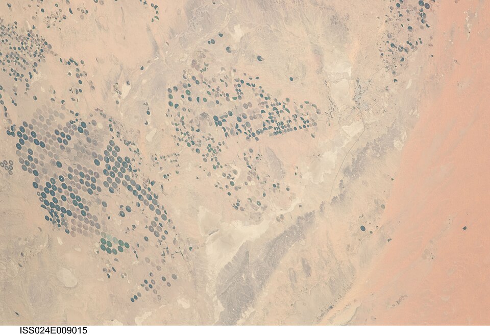 Dammam — multi-vendor marketplaces for local businesses