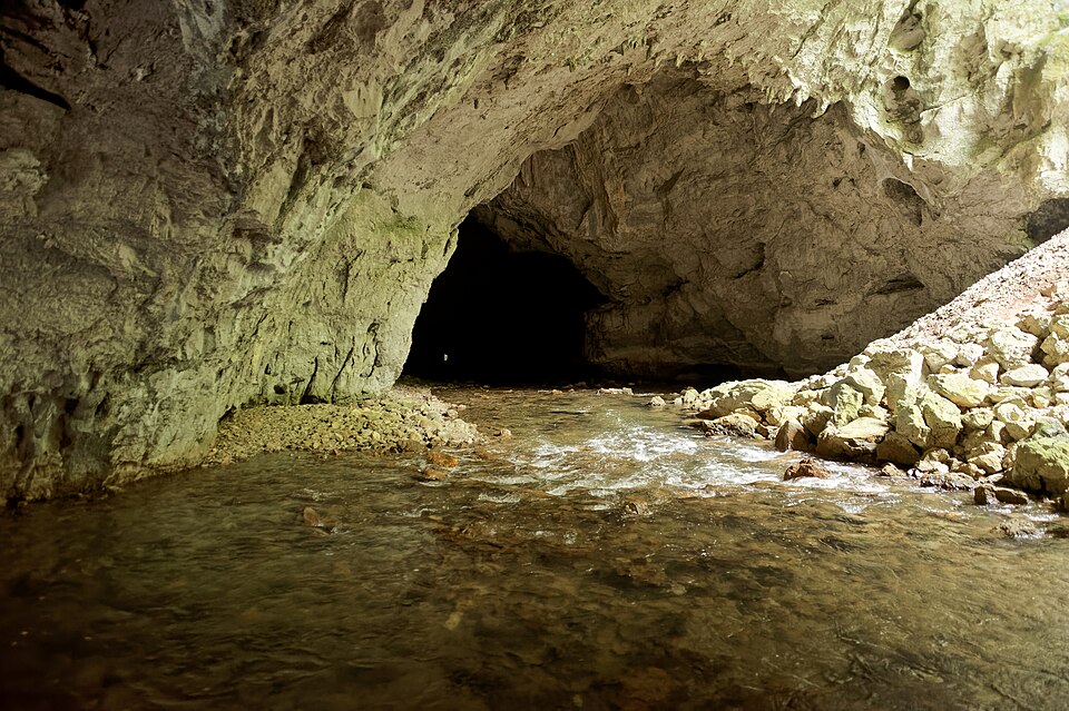 Slovenia — B2B and wholesale portals for local businesses