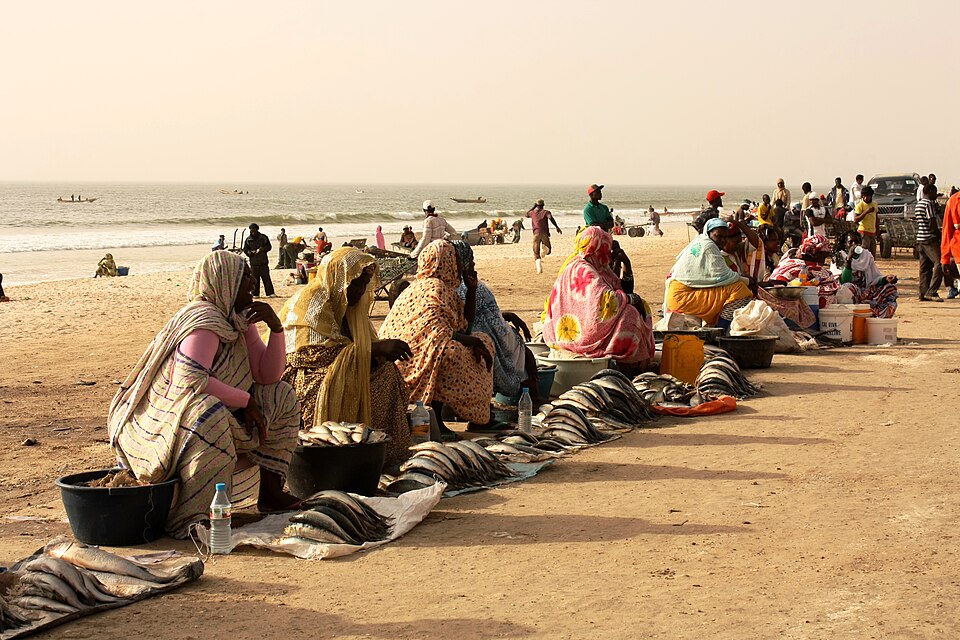 Nouakchott — local market for B2B and wholesale portals