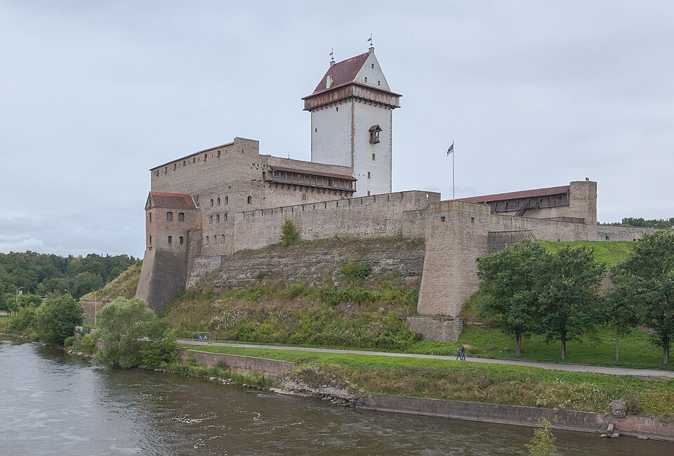 Narva — local market for service booking platforms